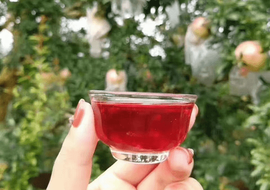 飛花釀造石榴酒_new