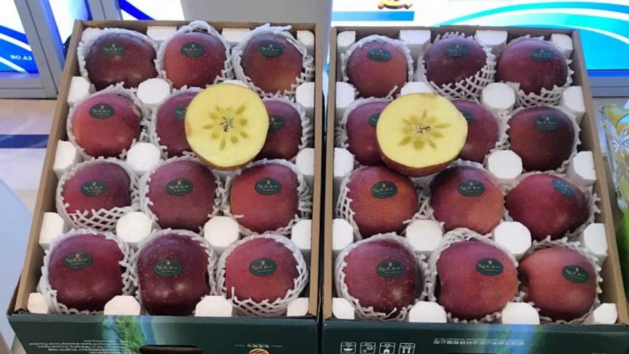 昭通糖心蘋果