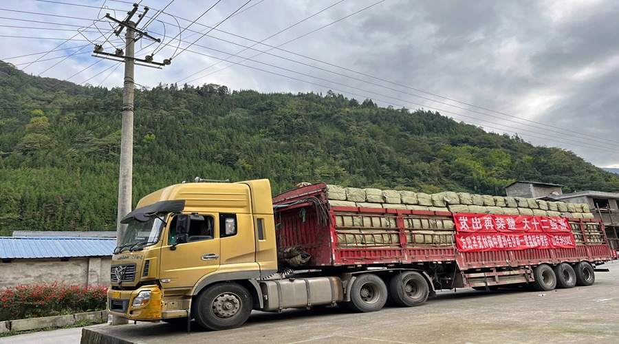 中藥材整車運(yùn)輸 (1)