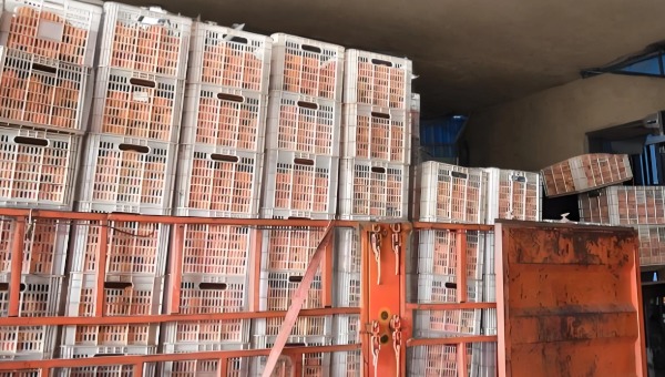 塑料托盤運輸